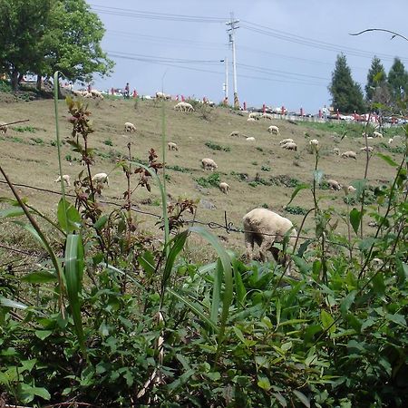 Winlu Vacation Farm Villa Renai Dış mekan fotoğraf